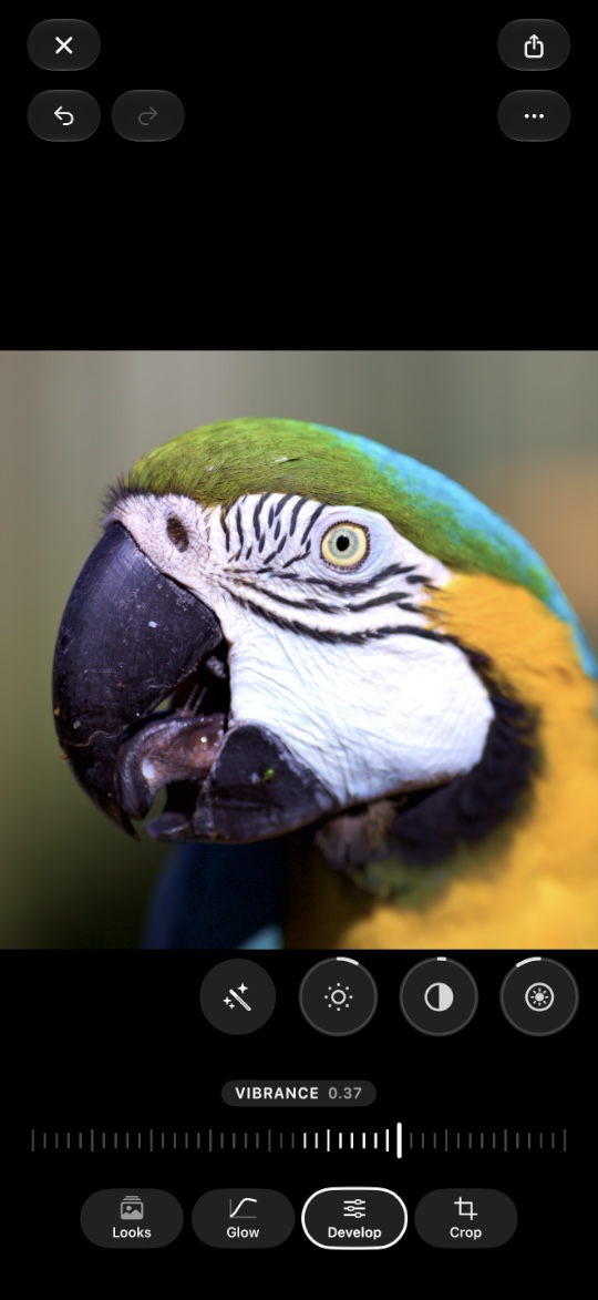 The Develop tab, with Vibrance and Saturation on a fine scale.