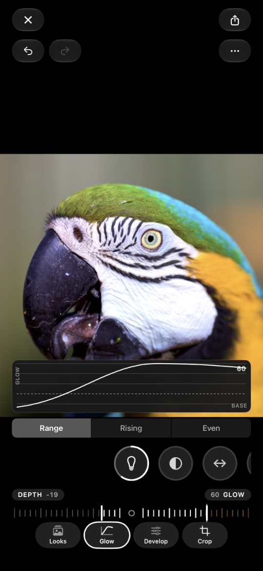 The Glow tab, with the curve drawn over the photograph and Depth and Glow below it.